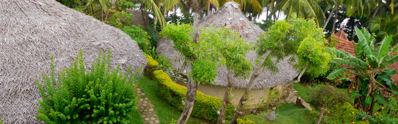 Nikkis Nest Garten