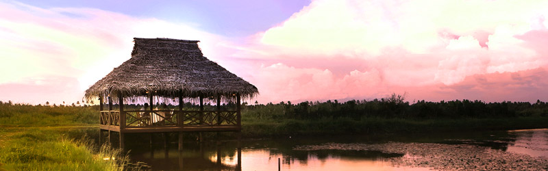 Coconut Lagoon Resort